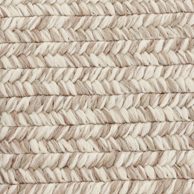 House of Hampton Bromsgrove Hand Braided Tan Indoor/Outdoor Rug